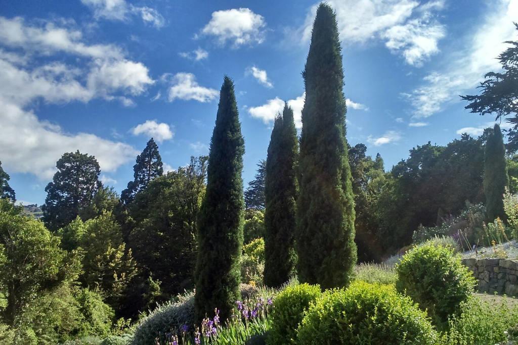 Restview Bed & Breakfast Dunedin Exterior foto